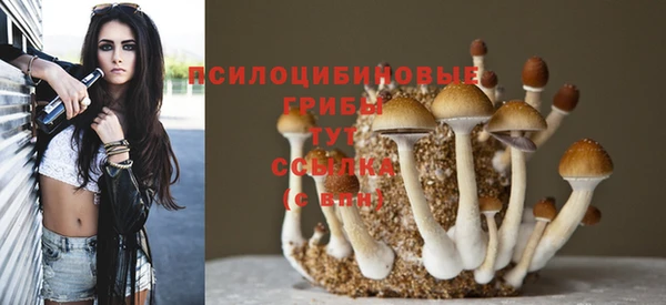 кокаин премиум Каменск-Шахтинский