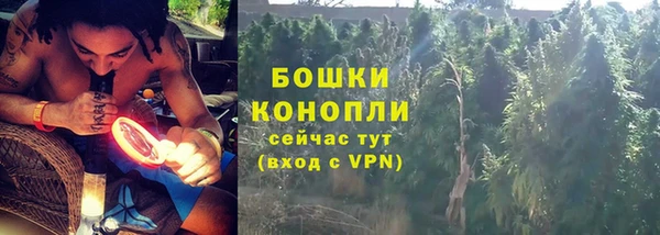 ГАЛЛЮЦИНОГЕННЫЕ ГРИБЫ Карпинск