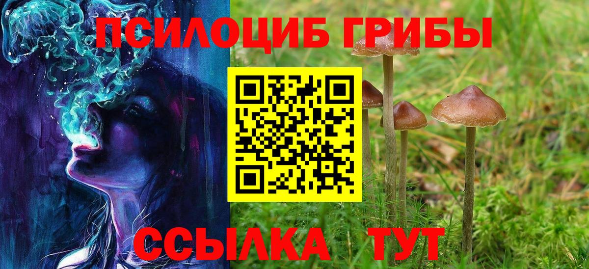 Малоярославец  где купить наркоту  Вход с VPN  Галлюциногенные грибы мицелий 