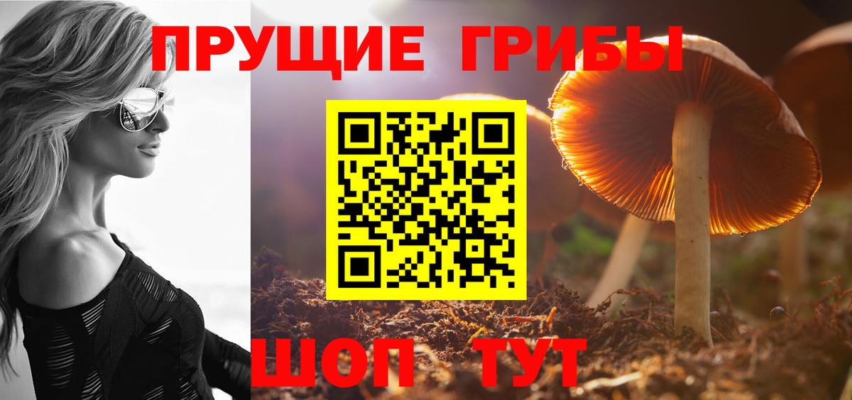 Псилоцибиновые грибы MAGIC MUSHROOMS Малоярославец